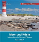 Svenja Ernsten - Meer und Küste