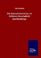 Karl Endriss - Die Steinsalzformation im Mittleren Muschelkalk Württembergs
