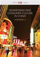 H Li, H. Li, Hongmei Li - Advertising and Consumer Culture in China