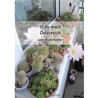 Rudi Koller - O du mein Österreich