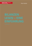 Peter Kralicek - Bilanzen lesen - Eine Einführung