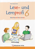 Christ Koppensteiner, Christa Koppensteiner, Christl Meixner, Elisabeth Lottermoser - Lese- und Lernprofi - silbierte Ausgabe - 6: Lese- und Lernprofi 6 - Arbeitsheft - silbierte Ausgabe