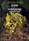 Alghe e fanerogame del Mediterraneo