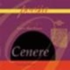 Luciano M. Pegorari - Cenere