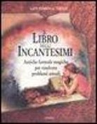 Diuvei, Lady Passion - Il libro degli incantesimi. Antiche formule magiche per risolvere problemi attuali