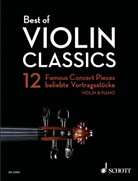Wolfgang Birtel - Best of Violin Classics