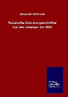 Alexander Brückner - Russische Literaturgeschichte