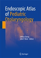 John P. Bent, Jeffre Cheng, Jeffrey Cheng, P Bent, P Bent - Endoscopic Atlas of Pediatric Otolaryngology