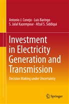 Lui Baringo, Luis Baringo, Antonio Conejo, Antonio J Conejo, Antonio J. Conejo, S Jalal Kazempour... - Investment in Electricity Generation and Transmission