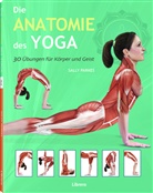 Ken Ashwell, Sally Parkers, Sally Parkes - Die Anatomie des Yoga