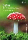 Setas del País Valenciano