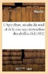 Marcille - L apiculture, recolte du miel et