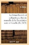 Auguste Debay, Debay-a - La venus feconde et callipedique,