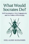 Joel Alden Schlosser, Joel Alden (Bryn Mawr College Schlosser, Schlosser Joel Alden - What Would Socrates Do?