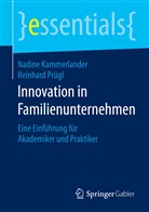 Nadin Kammerlander, Nadine Kammerlander, Reinhard Pr&uuml;gl - Innovation in Familienunternehmen