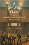 Simon P. Newman - New World of Labor