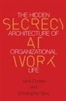 Jana Costas, Christopher Grey, Christopher Costas Grey - Secrecy At Work