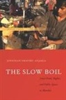 Jonathan Anjaria, Jonathan Shapiro Anjaria - Slow Boil