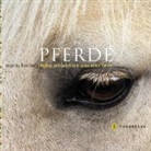 Angelika Hirschberg - Pferde