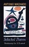 Antonio Machado, Machado Antonio, Alan S. Trueblood - Antonio Machado