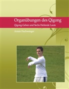 Armin Fischwenger - Organübungen des Qigong