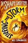 Ali Sparkes - The Shapeshifter: Stirring the Storm