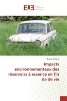 Benoit Lefebvre, Lefebvre-b - Impacts environnementaux des