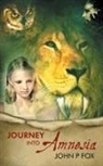 John P Fox - Journey into Amnesia