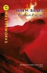 Iain M Banks, Iain M. Banks - Feersum Endjinn