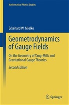 Eckehard W Mielke, Eckehard W. Mielke - Geometrodynamics of Gauge Fields