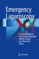 Ferdinando Agresta, Gabriele Anania, Gabriele Anania et al, Carlo Bergamini, Fabio Cesare Campanile, Fabi Cesare Campanile... - Emergency Laparoscopy