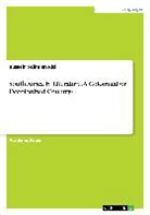 Hussein Salimian Rizi - South Africa in Literature. A Colonized or Decolonized Country?