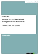 Julian Horn - Burnout. Modekrankheit oder lebensgefährliche Depression?