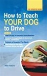 Mike Haskins - How to Teach Your Dog to Drive