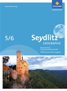 Jürge Alber, Jürgen Alber, Andrea Langbein, Andreas Langbein, Hartmut Meier, Hartmut u a Meier... - Seydlitz Geographie, Ausgabe Baden-Württemberg (2016): Seydlitz Geographie - Ausgabe 2016 für Gemeinschaftsschulen und Realschulen in Baden-Württemberg
