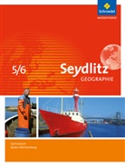 Patrici Dreizler, Patricia Dreizler, Andrea Greis, Andreas Greis, Inge Hamm, Inge u a Hamm... - Seydlitz Geographie, Ausgabe 2016 für Gymnasien in Baden-Württemberg: Seydlitz Geographie - Ausgabe 2016 für Gymnasien in Baden-Württemberg