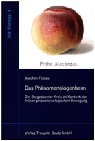 Joachim Feldes - Das Phänomenologenheim