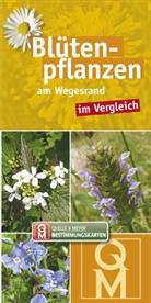 Quelle &amp; Meyer Verlag - Blütenpflanzen am Wegesrand, Bestimmungskarten