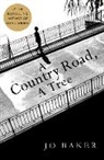 Jo Baker - Country Road, a Tree