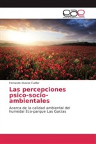 Fernando Alvarez Cuéllar - Las percepciones psico-socio-ambientales