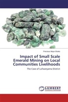 Precious Moyo-Shoko - Impact of Small Scale Emerald Mining on Local Communities Livelihoods
