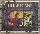 David Wiesner - Hurricane