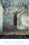 David Richo - Shadow Dance