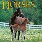 Laura Driscoll, Margo Lundell, Harold Roth - Horses