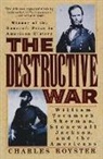 Charles Royster - The Destructive War