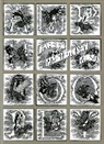 Gorey Edward Gorey, Edward Gorey - Amphigorey Also