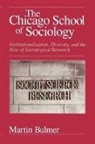 Martin Bulmer - Chicago School of Sociology