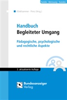 Gabriel Engel, Gabriele Engel, Vaness Friedrich, Vaness Friedrich-Bäker, Vanessa Friedrich-Bäker, Güthoff... - Handbuch Begleiteter Umgang (3. Auflage)