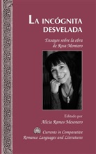 Alicia Ramos Mesonero - La incógnita desvelada
