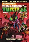 Brandon Auman, Justin Eisinger, Johnny Hartman, Johnny Hartmann, Various, N/A Various - Teenage Mutant Ninja Turtles Animated Volume 5: Choosing Sides